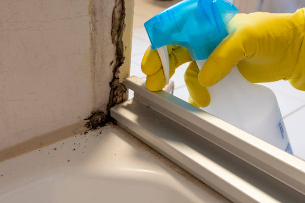 Best Mold Prevention Services  in Lindsborg, KS