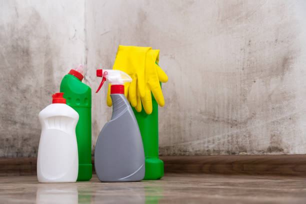 Best Mold Odor Removal Services  in Lindsborg, KS